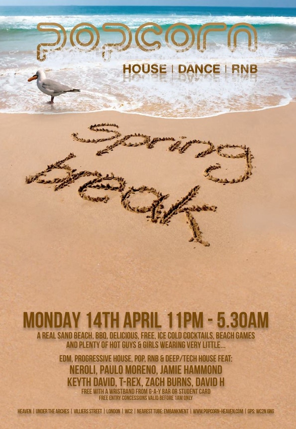 David-H Percussion :: The Bongoman ::